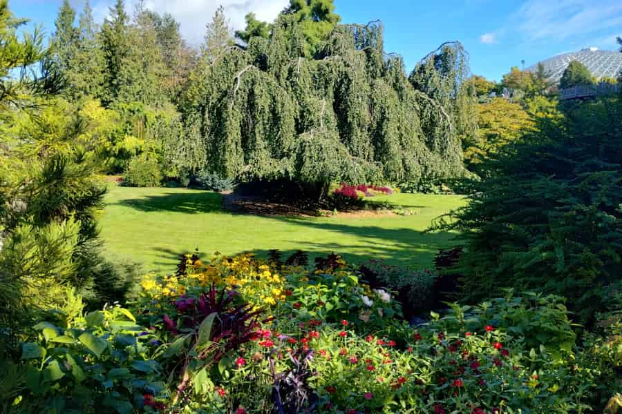 Vancouver-Städtetour: Die einzige komplette Autotour in kleinen Gruppen. Foto: GetYourGuide