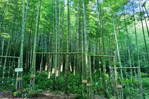 Hangzhou Yunqi Bamboo Trail Admission Ticket