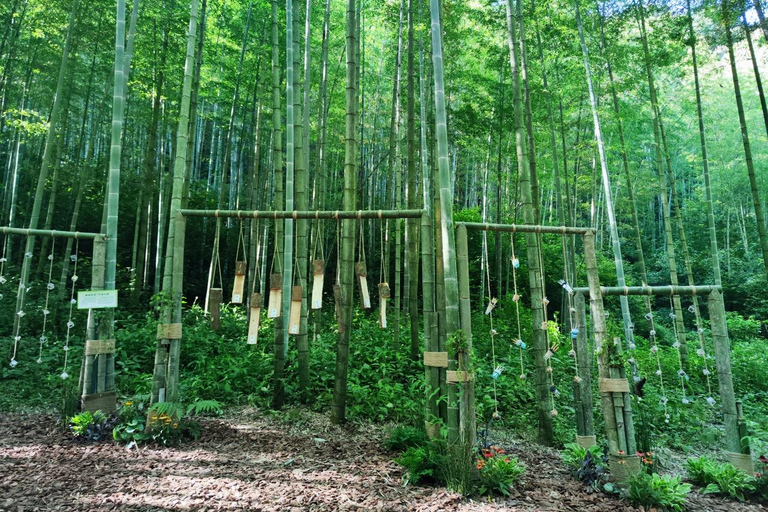 Hangzhou Yunqi Bamboo Trail Admission Ticket