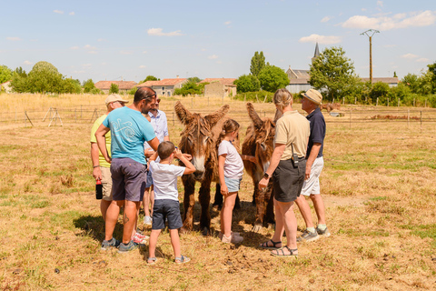 Marais Poitevin: A day of discovery in the footsteps of Baudet