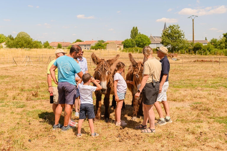 Marais Poitevin: A day of discovery in the footsteps of Baudet