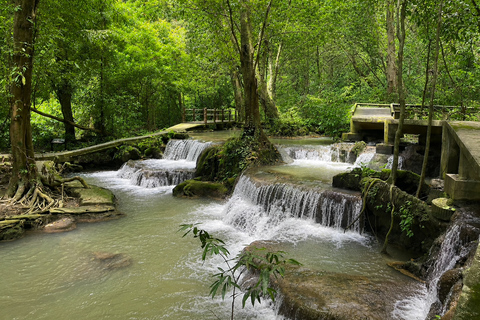 Khao Lak: Bamboo Rafting, Turtle Center & Temple Tour