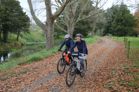 Ganztägige Ebike-Tour - Karangahake-Schlucht NZ