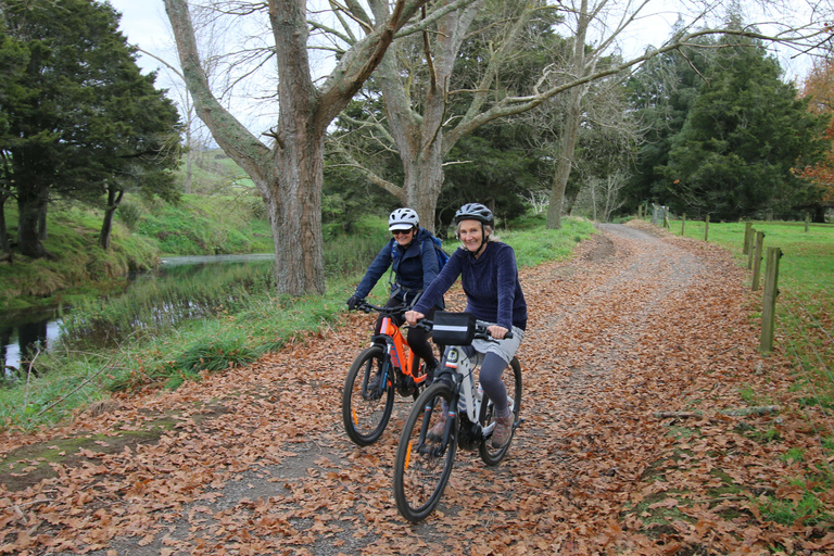 Excursión en Ebike de día completo - Garganta de Karangahake NZ