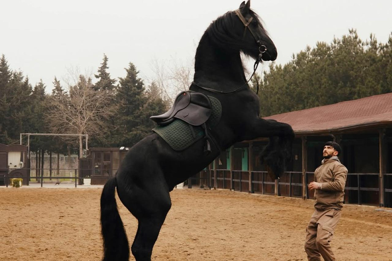 巴库骑马体验：邂逅世界名驹标准套餐