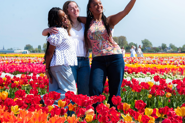 Tulip Experience and Tulip Fields Tour from Amsterdam