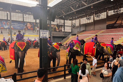 Private Nong Nooch Garden Tour: Lunch, shows & Dinosaurs