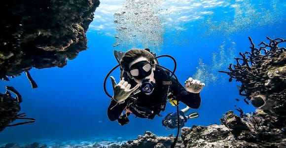 From Cozumel: Double Tank Scuba Diving for Certified Divers