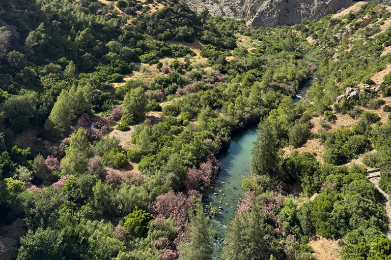 Caminito del Rey Experience: Accredited Guided Tour