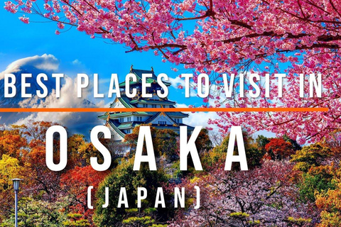 3 Days Private Osaka Kyoto and Nara Tour with English Driver