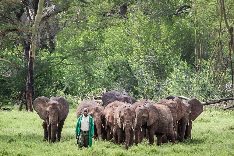 Nairobi: Karen Blixen, Elepant Orphanage & Girraffe Centre.