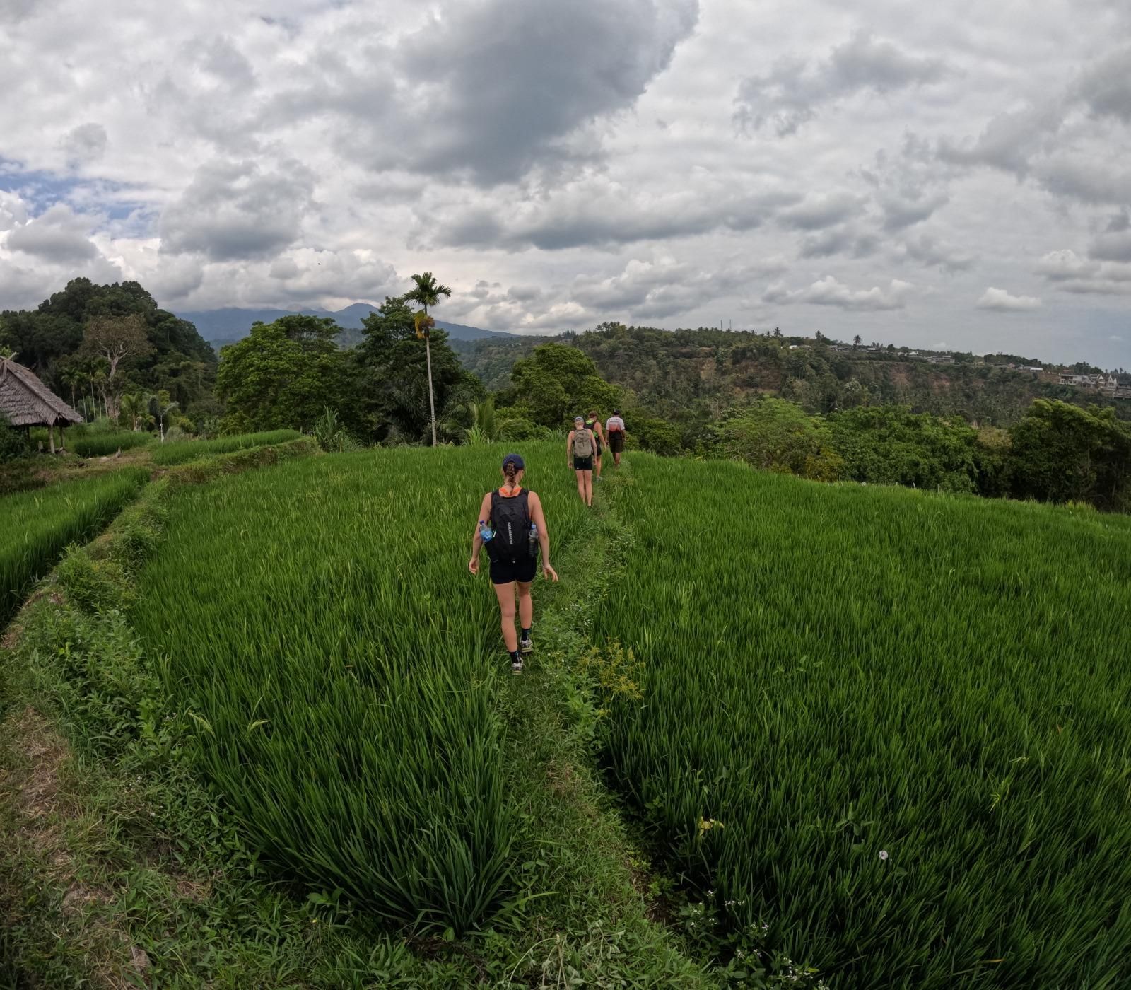 Lombok: Panorama-Wanderung durch Reisfelder, Wasserfälle und Dorftour