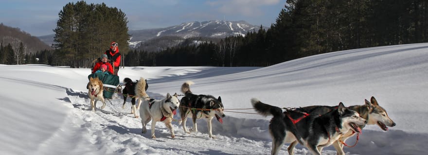 Mont-Tremblant : visite guidée en traîneau à chiens avec chocolat chaud