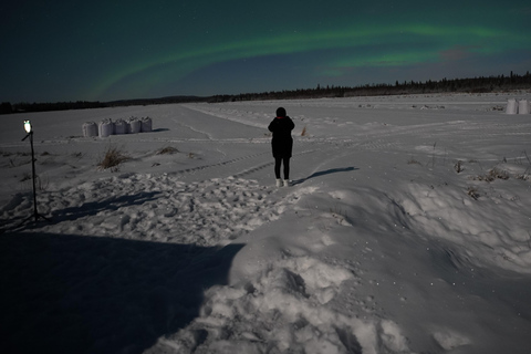 Northern Lights Rovaniemi Guaranteed & Unlimited KM Hunting