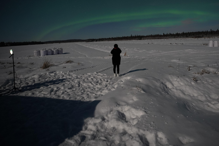 Northern Lights Rovaniemi Guaranteed & Unlimited KM Hunting