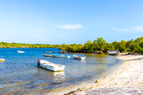 Exploring Nature's Treasures: A Private Day Trip in Diani Exploring Nature's Treasures: A Day Trip in Diani