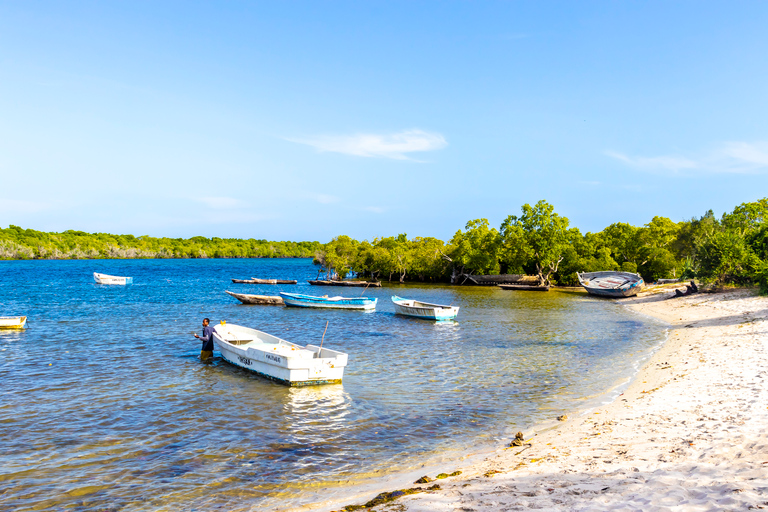 Exploring Nature's Treasures: A Private Day Trip in Diani Exploring Nature's Treasures: A Day Trip in Diani