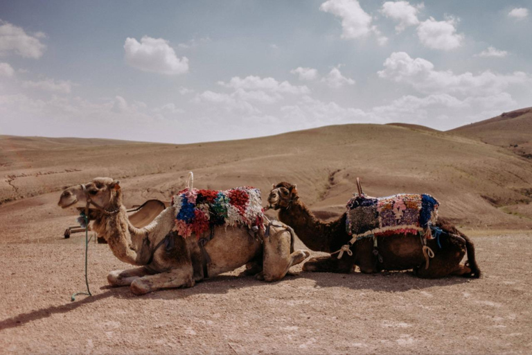 Pacote para o deserto de Agafay: passeio de buggy e de camelo e jantar com espetáculoPacote Deserto de Agafay: passeio de quadriciclo, passeio de camelo e jantar com show