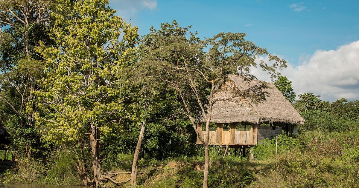 Iquitos Monkey Island Tour Delfine, rosa und grau GetYourGuide