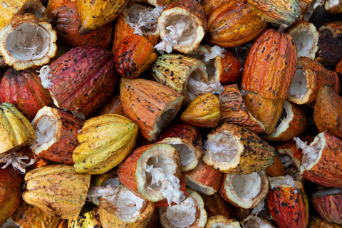 Oaxaca : expérience ancestrale du chocolat et des boissons