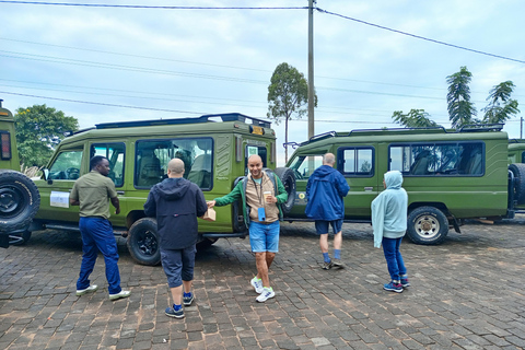 1 dia de caminhada de gorila de montanha em Ruanda