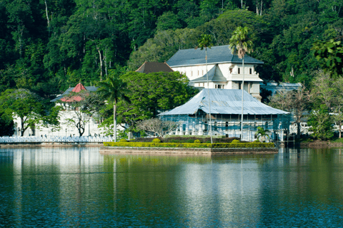 Excursão de um dia com tudo incluído em Kandy