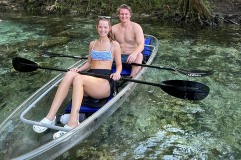 Gilchrist Blue: Clear Kayak Eco Tour