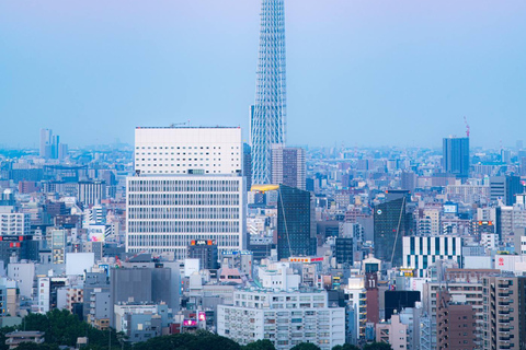 Tokio Hele dag privétrip met Engelssprekende chauffeur/gids