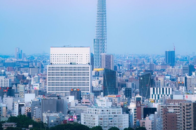 Tokio Tagestour mit Englisch sprechendem Fahrer/Guide