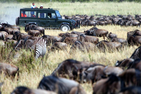 Nairobi: Masai Mara 4-Day Wildebeest Migration Safari Nairobi: Masai Mara 4-Day Wildebeest Migration Safari