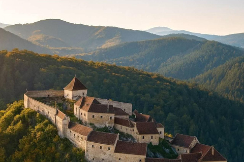 Brașov: Peles, Bran, Rasnov, & Valea Cetatii Day Trip