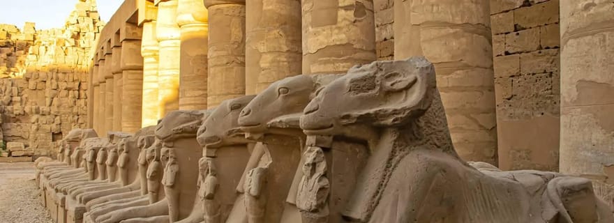 Excursion d'une journée aux temples de Louxor et aux tombes royales au départ du port de Safaga