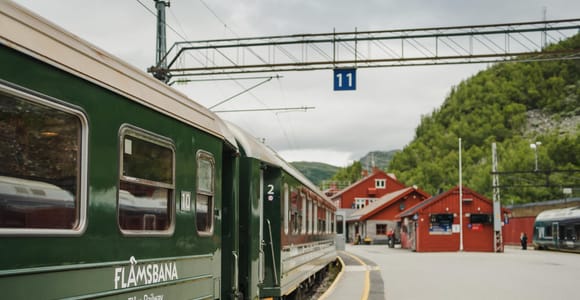 Bergen: Viking Village, Nærøyfjorden Cruise and Flåm Railway