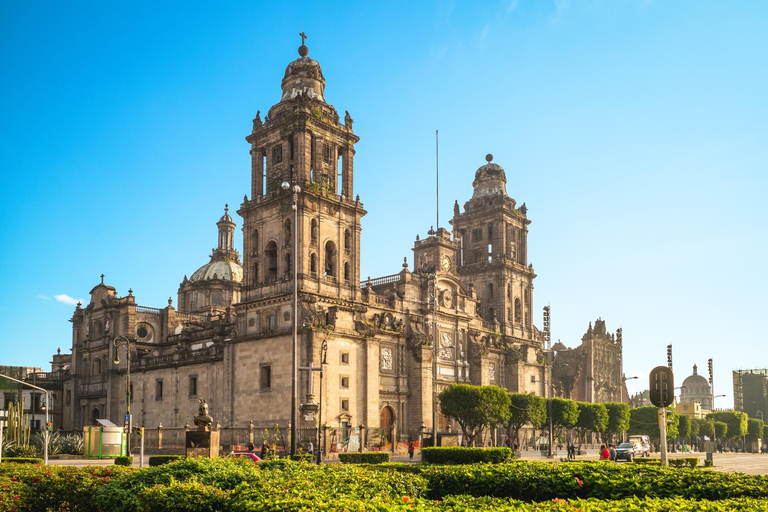 Mexico City: Downtown Highlights Private Walking Tour Tour in English and/or Spanish