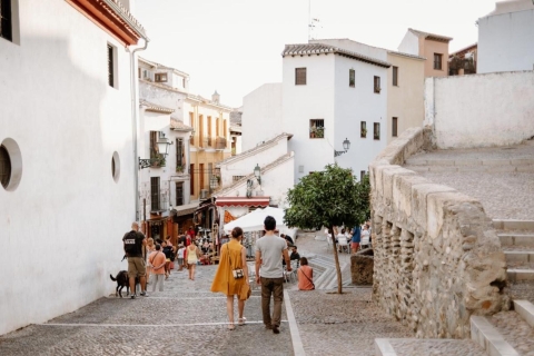 From Costa del Sol: Granada Day Trip Free Time 5h From Torremolinos Bus Station