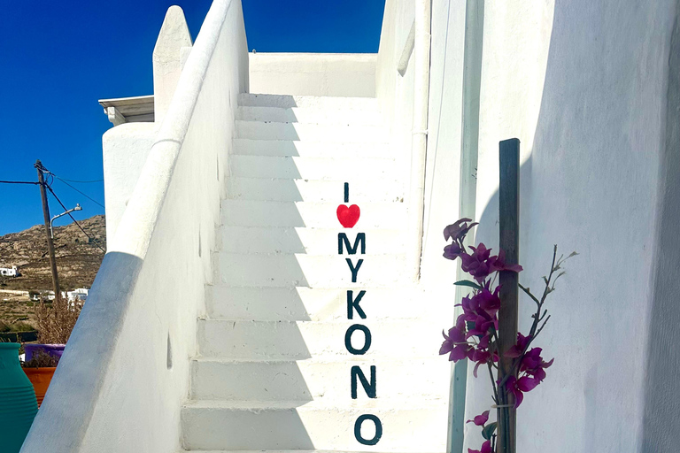 Visite de 4 heures à Mykonos en espagnol4 heures de visite de Mykonos en anglais