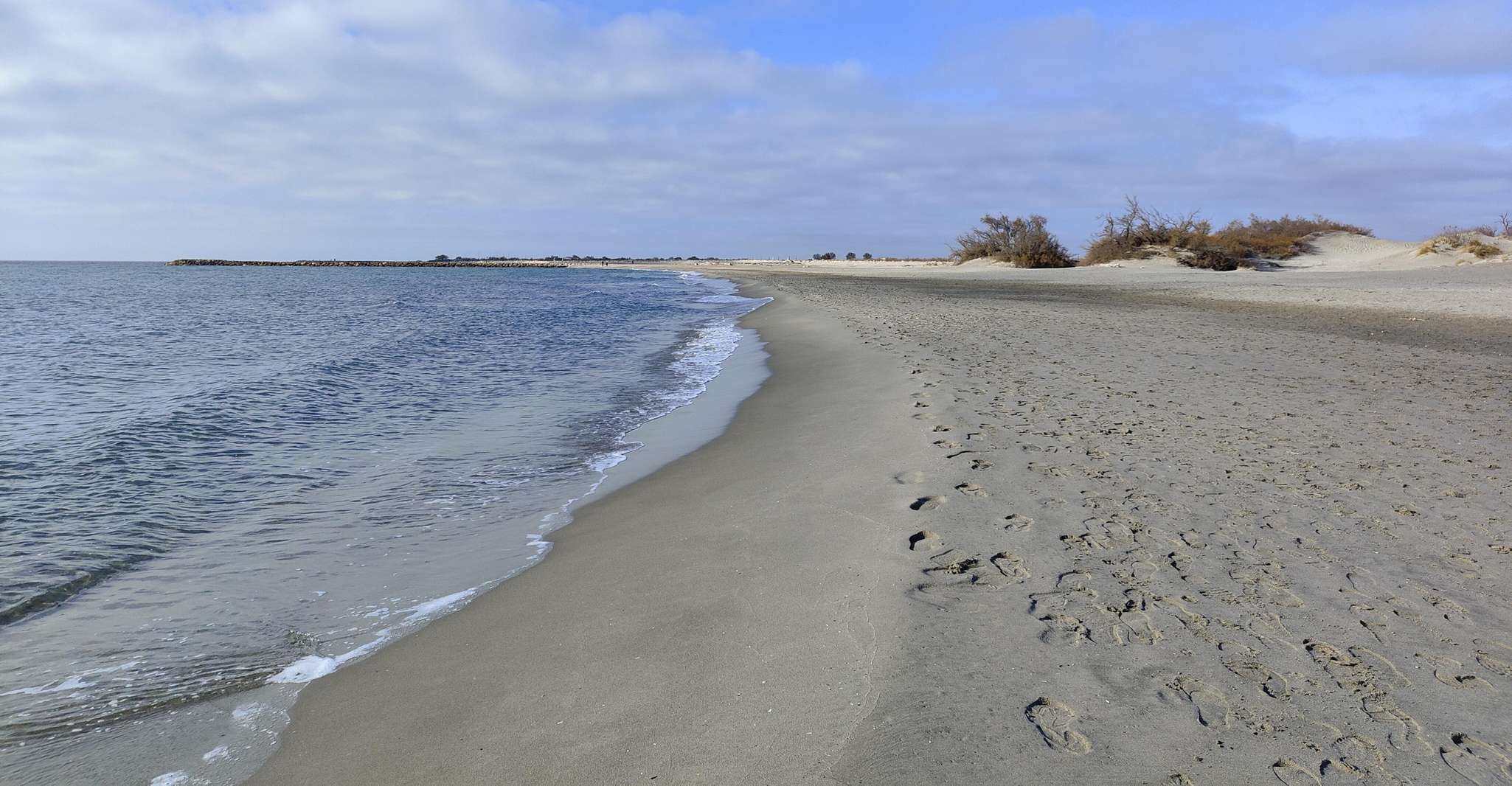 Camargue, its secrets and its magic, an exclusive tour - Housity