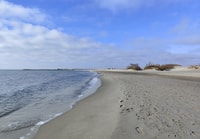 Camargue, seine Geheimnisse und seine Magie, eine exklusive Tour - Housity