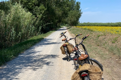 Desde Barcelona : E-Bike por la provincia de Girona y la Costa BravaBicicletas eléctricas en el campo catalán y la Costa Brava
