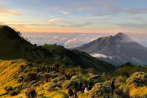 Mount Merbabu Sunrise with Transport, Ticket All InclusiveFrom Yogyakarta: Merbabu Sunrise All Inclusive