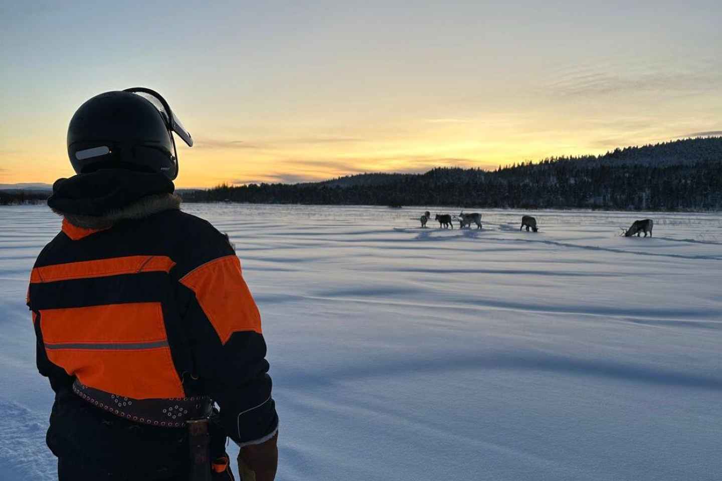 Ivalo: Tour de Pesca en Hielo al Lago Inari, Renos y Almuerzo