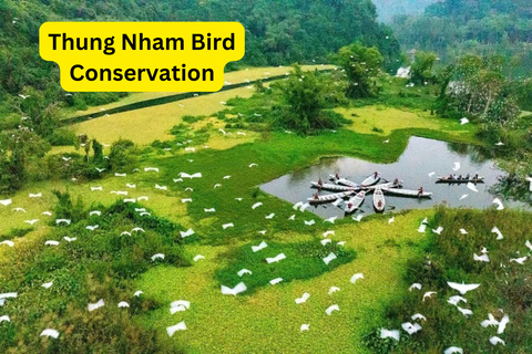 Custom Private Ninh Binh - Explore Your Way Full Packages From Ninh Binh Daily with Private Car & Lunch