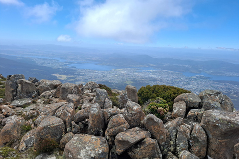 Mount Wellington Shore Excursion