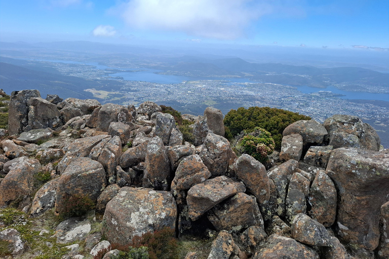 Mount Wellington Shore Excursion