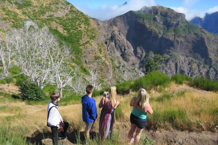 Funchal: Surprise Madeira Highlights for Cruise Guests Surprise 4x4 Half-Day Memorable for Cruise Guests