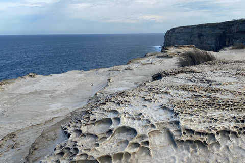 Sydney: Royal National Park tour with picnic RNP Private Tour