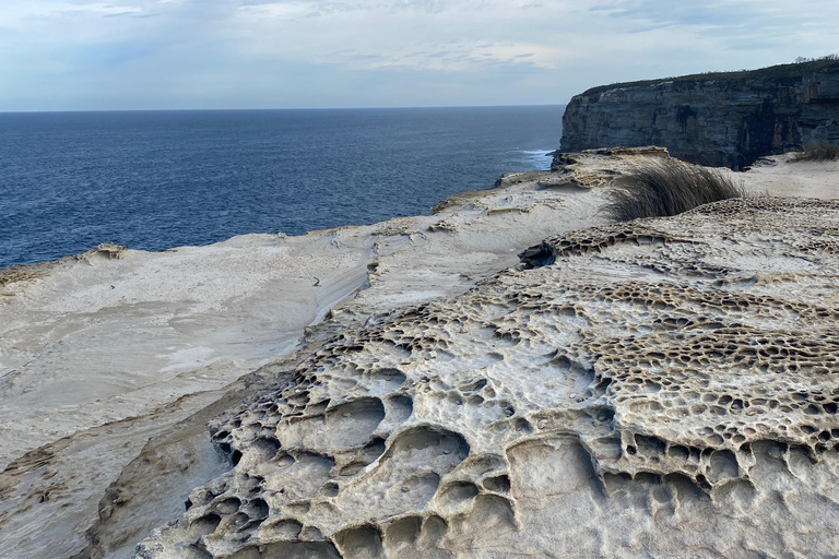 Sydney: Royal National Park tour with picnic RNP Private Tour