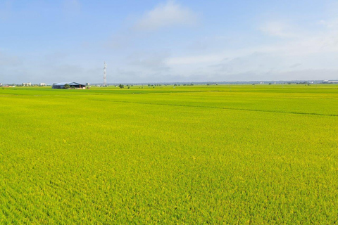 Kuala Selangor: Sky Mirror Island & Rice Field Tour