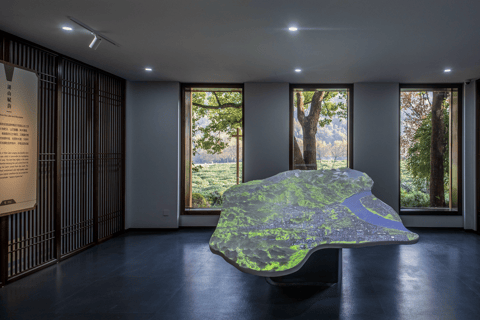 Hangzhou: Longjing Tea Culture & Nine Creeks Day Tour