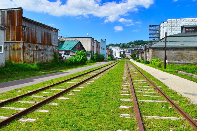 From Sapporo: Otaru and Hokkaido Shrine Day Trip Shared Tour, Meet at Sapporo Station